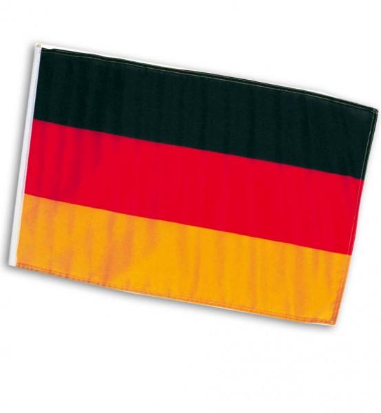 Flagge Fan mit Ösen, ca. 90x150